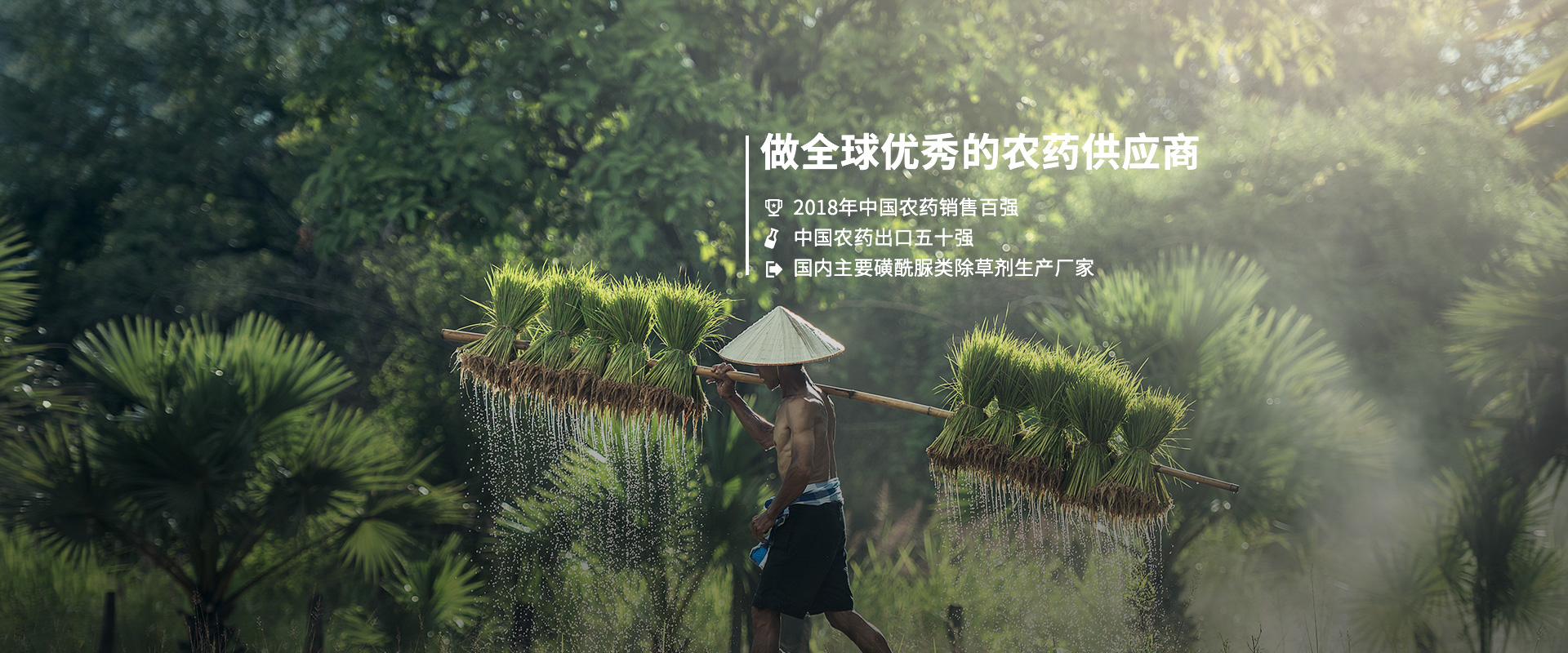 做全球優(yōu)秀的農藥供應商